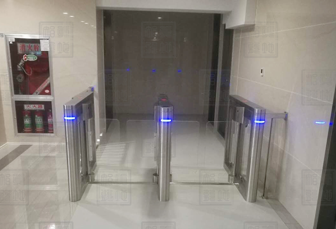 【真地行业篇】摆闸